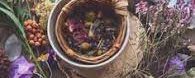 Herbs for Magical Intention
