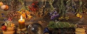 Magickal Uses for Herbs