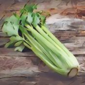 Kitchen Witch: Celery