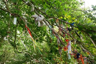 Things To Do at Beltane, Dress a tree