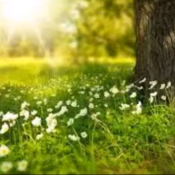 A Spring Equinox Cleaning Ritual