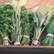 Flavoring With Herbs