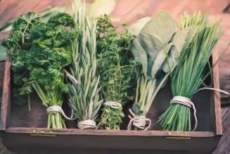 Flavoring With Herbs