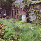 Hedgewitch Draining and Irrigating Your Mental Garden Release