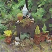 Hedgewitch Shifting with Nature