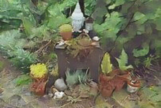 Hedgewitch Shifting with Nature