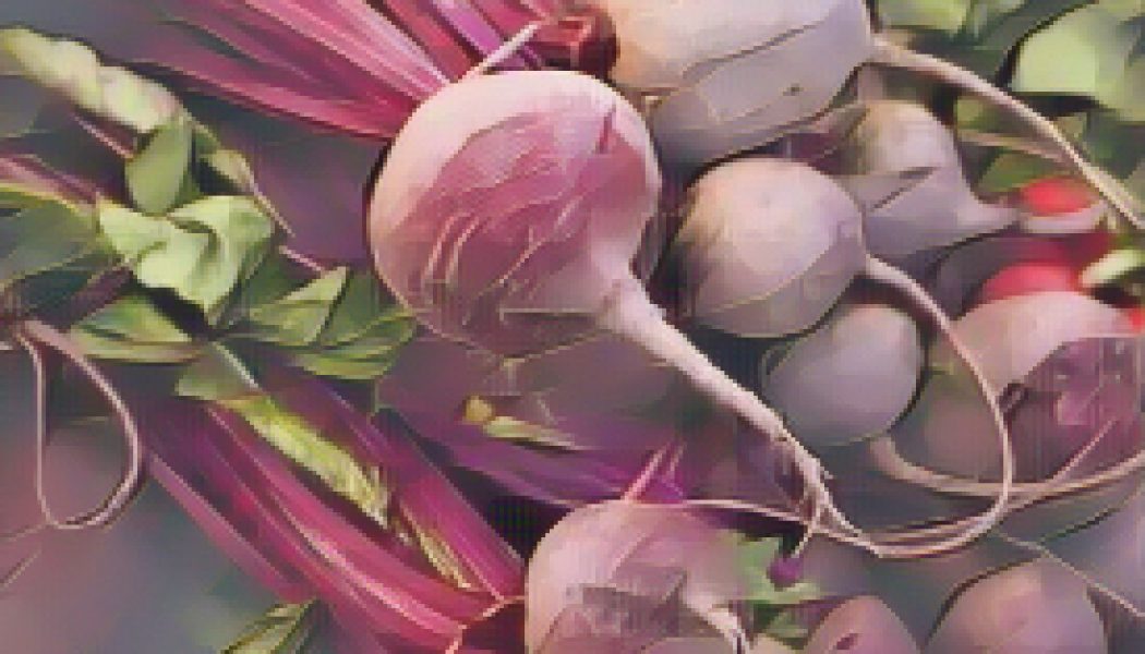 Kitchen Witch: Beet