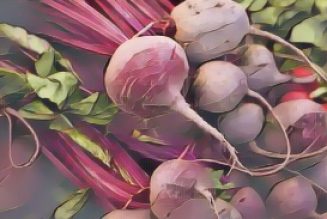 Kitchen Witch: Beet