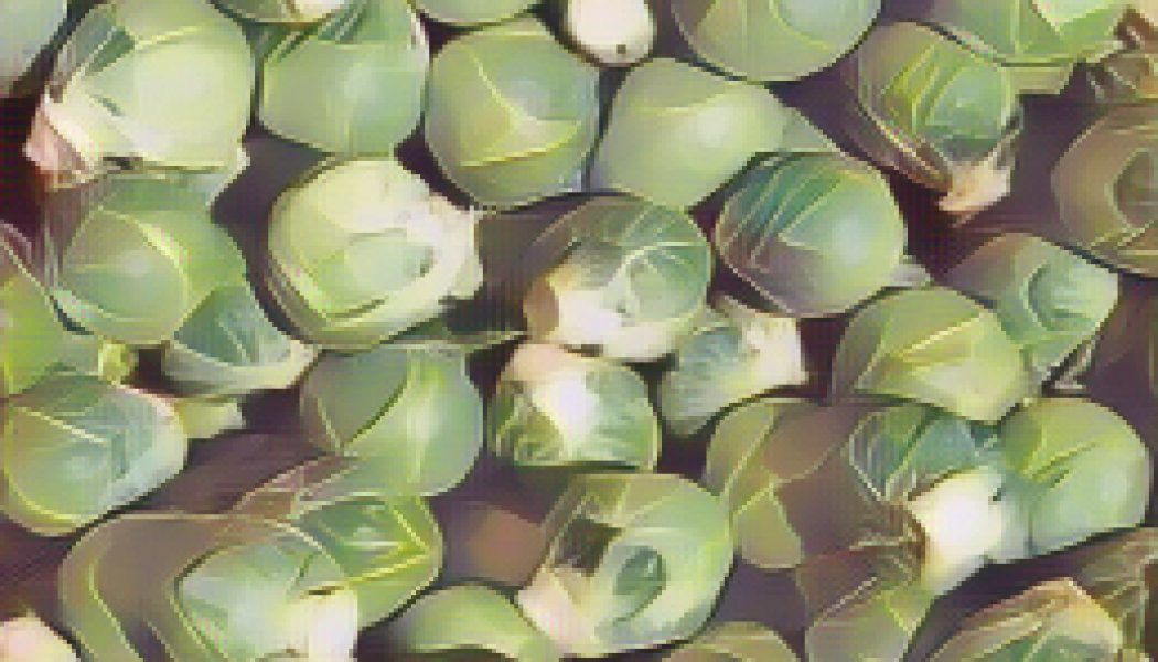 Kitchen Witch: Brussels Sprouts