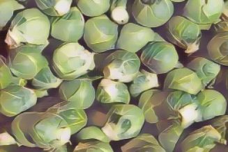 Kitchen Witch: Brussels Sprouts