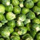 Kitchen Witch: Brussels Sprouts