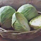 Kitchen Witch: Cabbage