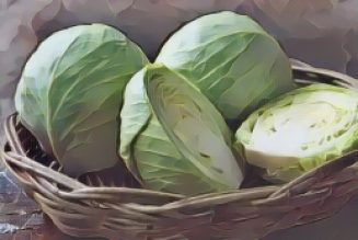 Kitchen Witch: Cabbage