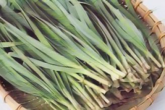 Kitchen Witch: Chives