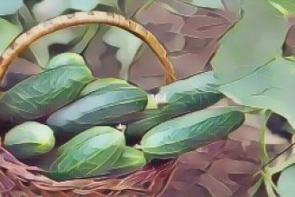 Kitchen Witch: Cucumber