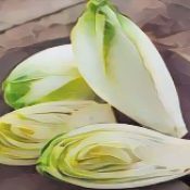 Kitchen Witch: Endive