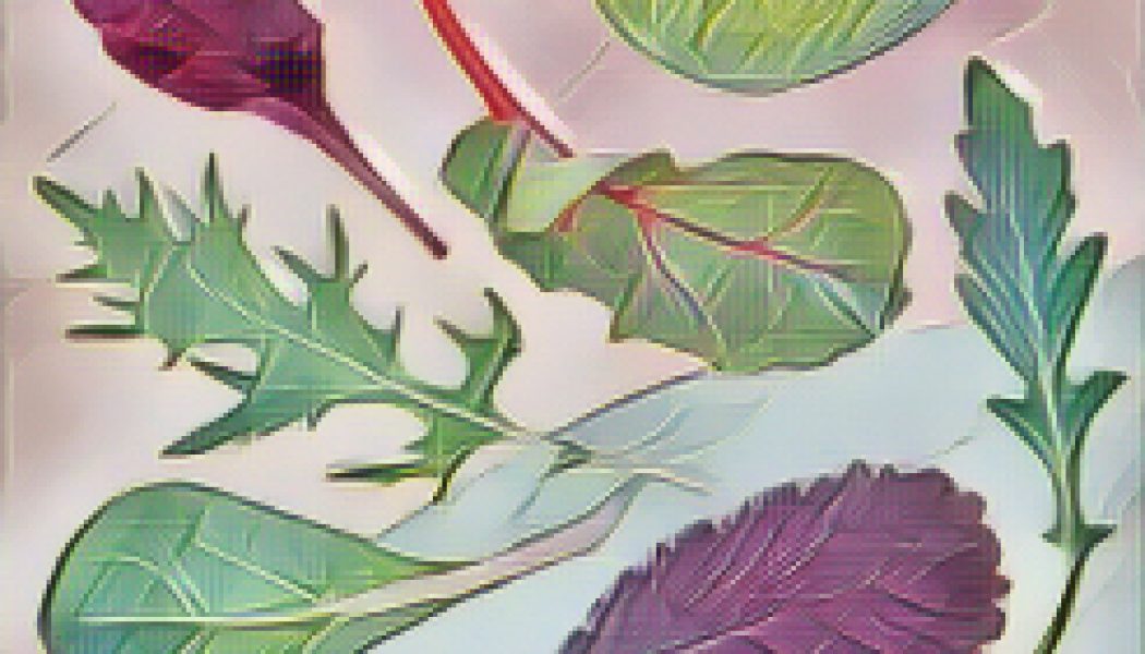 Kitchen Witch: Lettuce