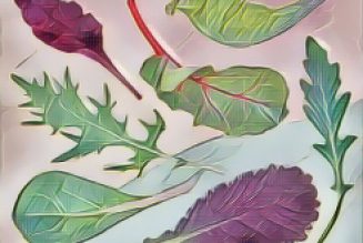 Kitchen Witch: Lettuce