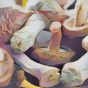 Kitchen Witch: Mushroom