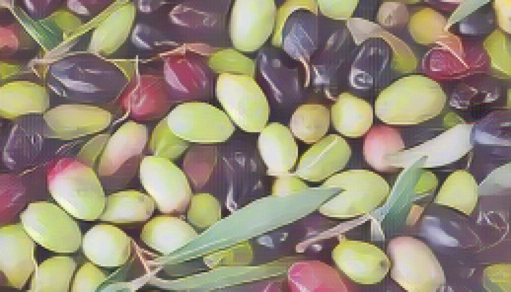 Kitchen Witch: Olive