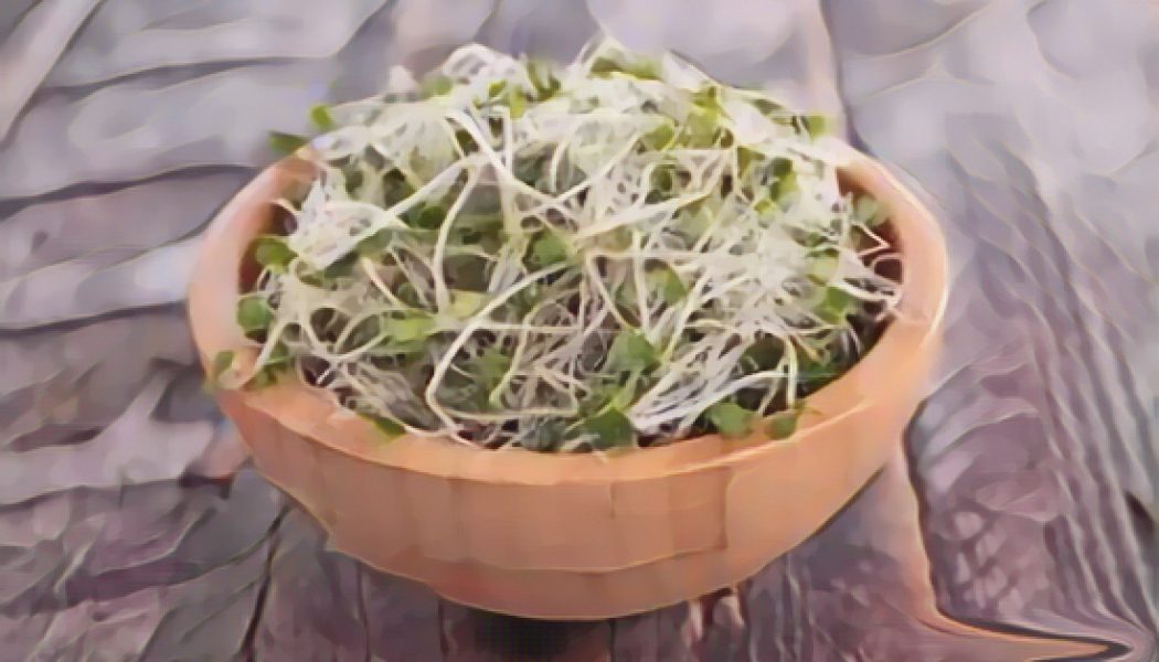 Kitchen Witch: Sprouts