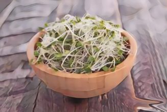 Kitchen Witch: Sprouts