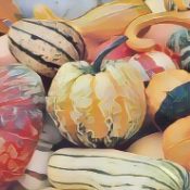 Kitchen Witch: Squash