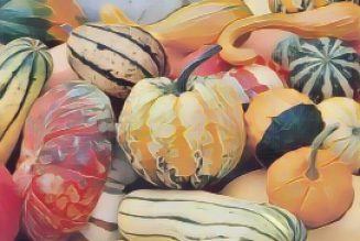 Kitchen Witch: Squash