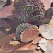 Kitchen Witch: Truffle