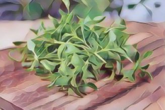 Kitchen Witch: Watercress
