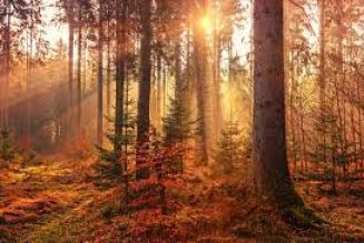 Mabon: A time to get back to Nature