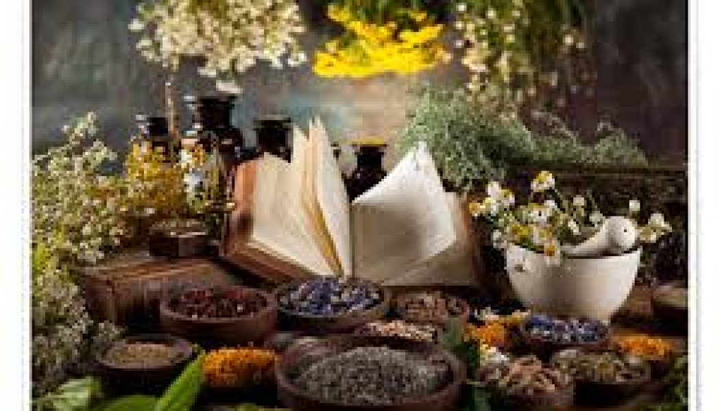 Magickal Usage for Herbs and Plants