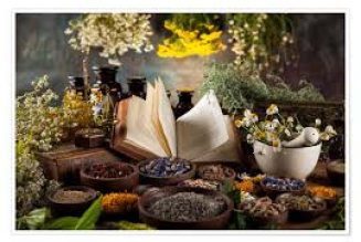 Magickal Usage for Herbs and Plants