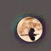 NATURAL CONNECTIONS OF THE MOON