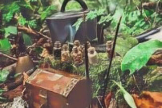 Starting the Day the Hedgewitch Way