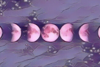 THE CYCLE OF THE MOON