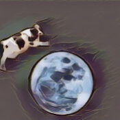 THE MOON AND CULTURAL LUNACY