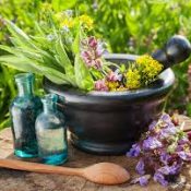 The Active Constituents of Herbs