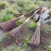 The Broom in Witchcraft