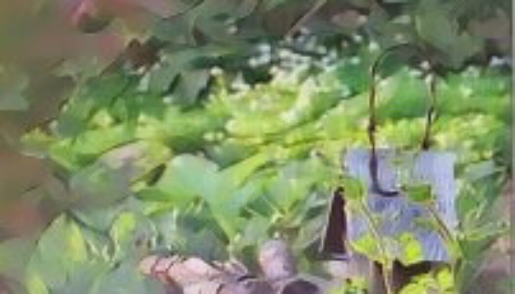 The Hedge Craft – Connecting to the Upperworld