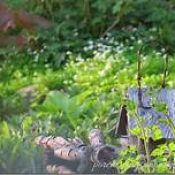 The Hedge Craft – Connecting to the Upperworld