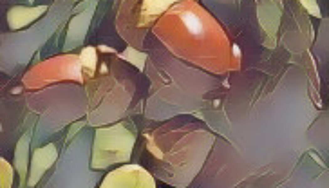 The Hedge Craft – OAK (Quercus robur)