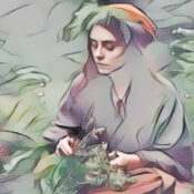 The Hedge Craft – The Celestial