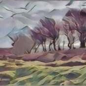 The Hedge – Boundaries Between the Worlds