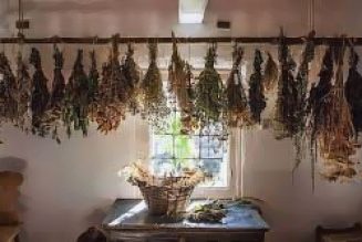 The Magick Of Herbs In the Kitchen