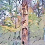 Totem Representations