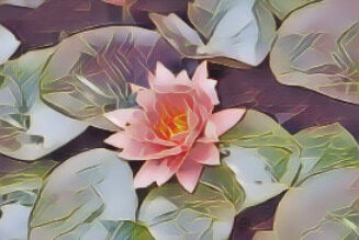 Water Lilly