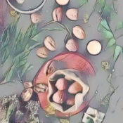 Winter Solstice Rites and Rituals for a Hedgewitch