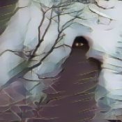 Witchcraft & Self Analysis