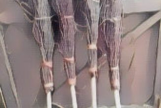 Witches Besom with Bristles Up